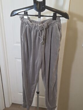 Cozy Velour Drawstring Jogger Pants - Gray